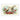 DGVN 094 Greetings