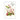 DDVN 63 Weil du so besonders bist