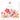 Blooms 24 Welkom