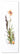 Flower Art Z-04