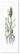 Flower Art Z-05