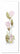 Flower Art Z-06