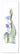 Flower Art Z-10
