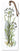 Flower Art L-15