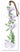 Flower Art L-24