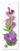 Flower Art L-36