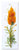 Flower Art L-50