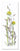 Flower Art L-52