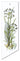 Flower Art T-20