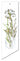 Flower Art T-01