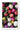 Colours 11