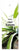 Green 18 Heel veel Succes